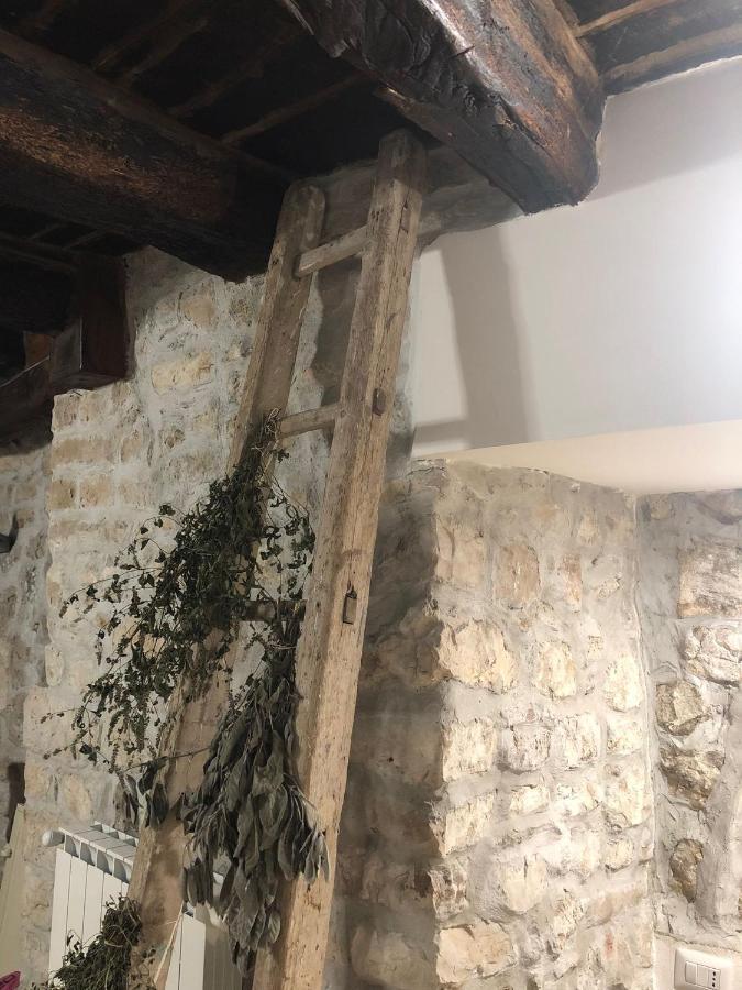 B&B Le Principesse Sermoneta Zewnętrze zdjęcie